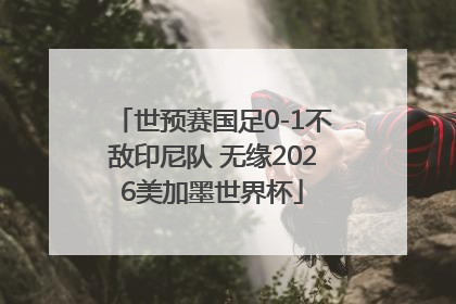 世预赛国足0-1不敌印尼队 无缘2026美加墨世界杯