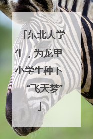 东北大学生，为龙里小学生种下“飞天梦”