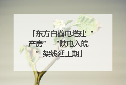东方白鹳电塔建“产房” “陕电入皖”架线延工期