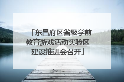 东昌府区省级学前教育游戏活动实验区建设推进会召开