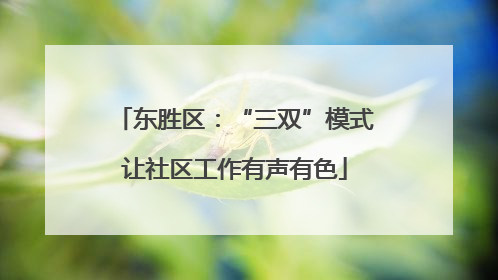 东胜区：“三双”模式让社区工作有声有色