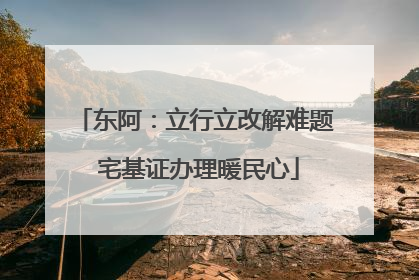 东阿：立行立改解难题 宅基证办理暖民心