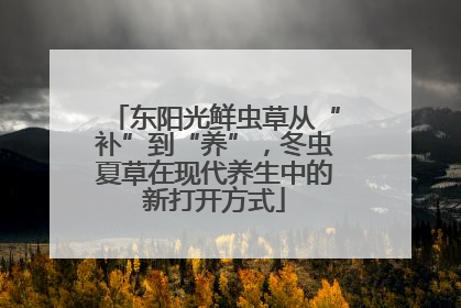 东阳光鲜虫草从“补”到“养”，冬虫夏草在现代养生中的新打开方式