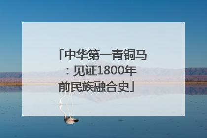 中华第一青铜马：见证1800年前民族融合史