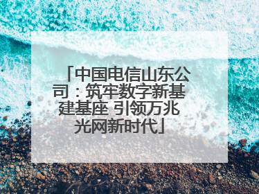 中国电信山东公司：筑牢数字新基建基座 引领万兆光网新时代
