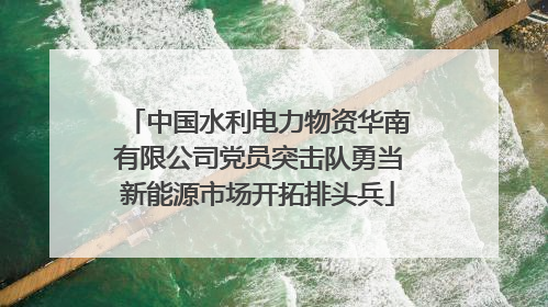 中国水利电力物资华南有限公司党员突击队勇当新能源市场开拓排头兵