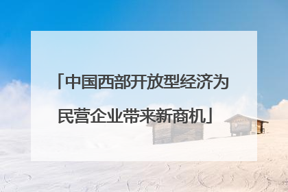 中国西部开放型经济为民营企业带来新商机
