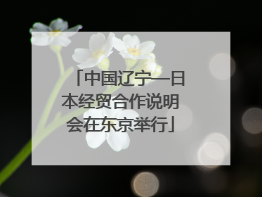 中国辽宁—日本经贸合作说明会在东京举行
