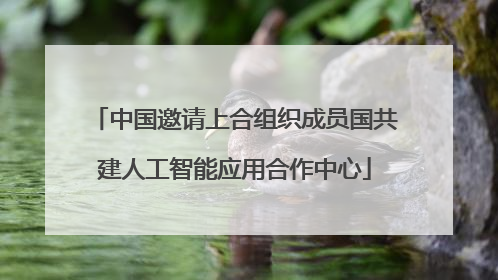 中国邀请上合组织成员国共建人工智能应用合作中心