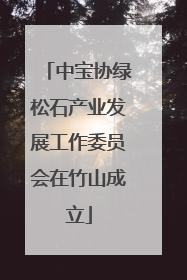 中宝协绿松石产业发展工作委员会在竹山成立