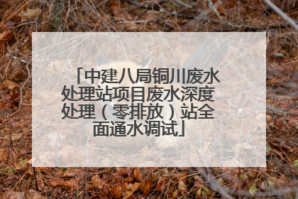 中建八局铜川废水处理站项目废水深度处理（零排放）站全面通水调试