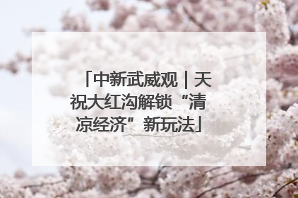 中新武威观｜天祝大红沟解锁“清凉经济”新玩法