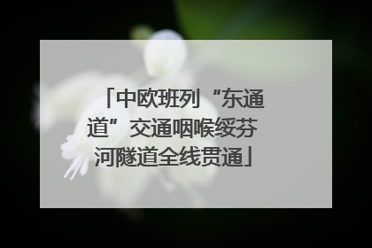 中欧班列“东通道”交通咽喉绥芬河隧道全线贯通