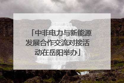 中非电力与新能源发展合作交流对接活动在岳阳举办