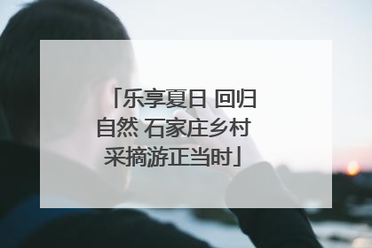 乐享夏日 回归自然 石家庄乡村采摘游正当时