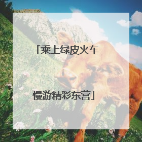 乘上绿皮火车 慢游精彩东营