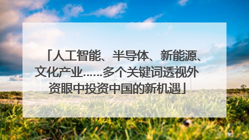 人工智能、半导体、新能源、文化产业……多个关键词透视外资眼中投资中国的新机遇