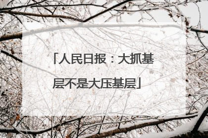 人民日报：大抓基层不是大压基层