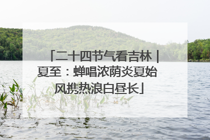 二十四节气看吉林｜夏至：蝉唱浓荫炎夏始 风携热浪白昼长