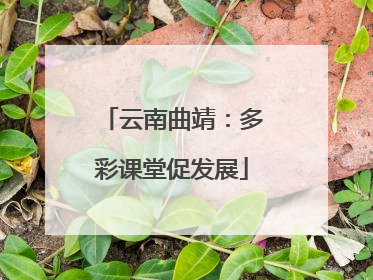 云南曲靖：多彩课堂促发展