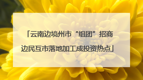 云南边境州市“组团”招商 边民互市落地加工成投资热点