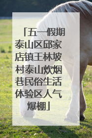 五一假期泰山区邱家店镇王林坡村泰山炊烟巷民俗生活体验区人气爆棚
