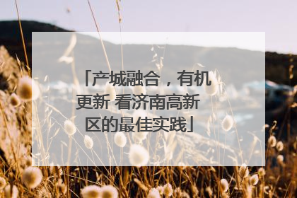 产城融合，有机更新 看济南高新区的最佳实践