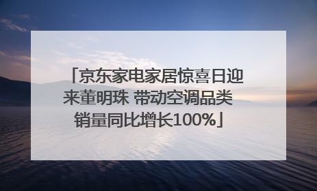 京东家电家居惊喜日迎来董明珠 带动空调品类销量同比增长100%