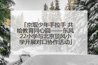 京堰少年手拉手 共绘教育同心圆——东风22小学与北京景风小学开展对口协作活动