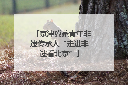 京津冀蒙青年非遗传承人“走进非遗看北京”