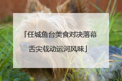 任城鱼台美食对决落幕 舌尖载动运河风味