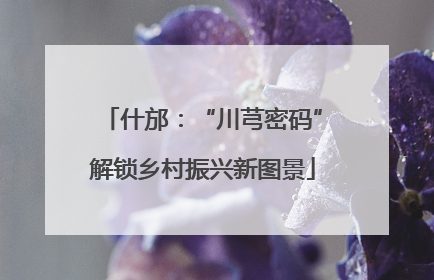 什邡：“川芎密码”解锁乡村振兴新图景