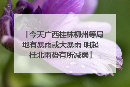 今天广西桂林柳州等局地有暴雨或大暴雨 明起桂北雨势有所减弱