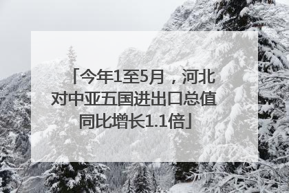今年1至5月，河北对中亚五国进出口总值同比增长1.1倍