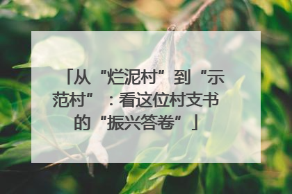 从“烂泥村”到“示范村”：看这位村支书的“振兴答卷”