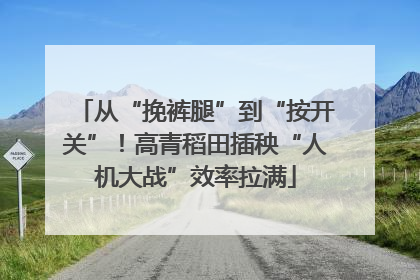 从“挽裤腿”到“按开关”！高青稻田插秧“人机大战”效率拉满