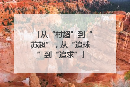 从“村超”到“苏超”，从“追球”到“追求”