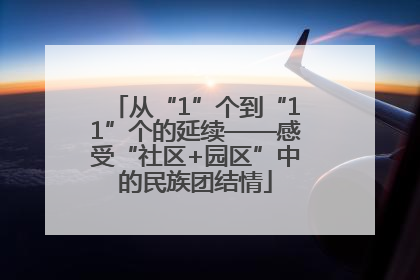 从“1”个到“11”个的延续——感受“社区+园区”中的民族团结情