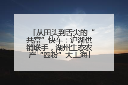从田头到舌尖的“共富”快车：沪湖供销联手，湖州生态农产“圈粉”大上海