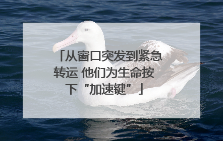 从窗口突发到紧急转运 他们为生命按下“加速键”