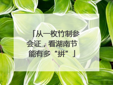 从一枚竹制参会证，看湖南节能有多“拼”