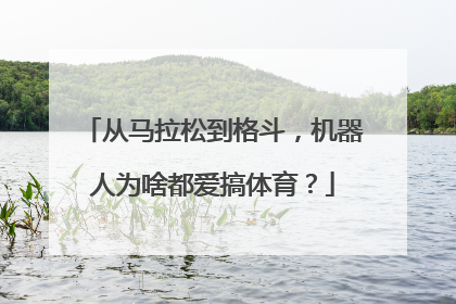 从马拉松到格斗，机器人为啥都爱搞体育？