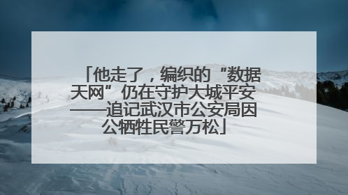 他走了，编织的“数据天网”仍在守护大城平安——追记武汉市公安局因公牺牲民警万松