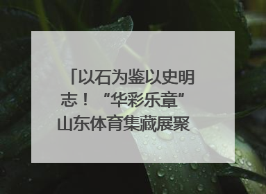 以石为鉴以史明志！“华彩乐章”山东体育集藏展聚焦“岱石丹心”