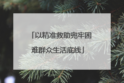 以精准救助兜牢困难群众生活底线
