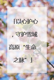 以心护心，守护雪域高原“生命之脉”