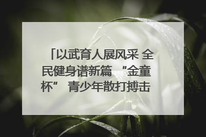 以武育人展风采 全民健身谱新篇 “金童杯” 青少年散打搏击邀请赛圆满落幕