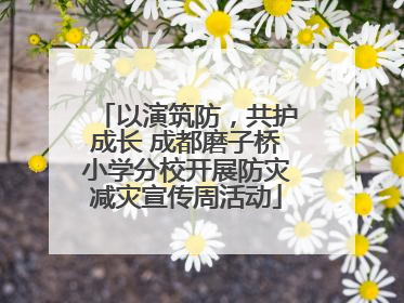 以演筑防，共护成长 成都磨子桥小学分校开展防灾减灾宣传周活动