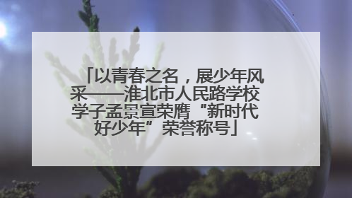 以青春之名，展少年风采——淮北市人民路学校学子孟景宣荣膺“新时代好少年”荣誉称号