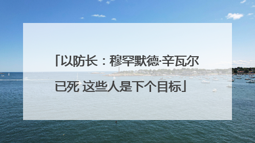以防长：穆罕默德·辛瓦尔已死 这些人是下个目标
